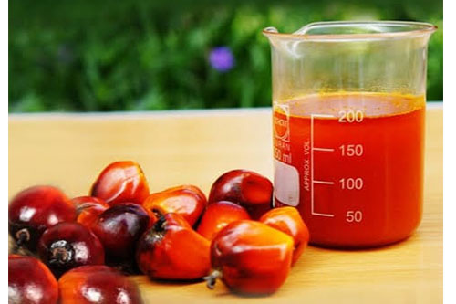 Palm Oil