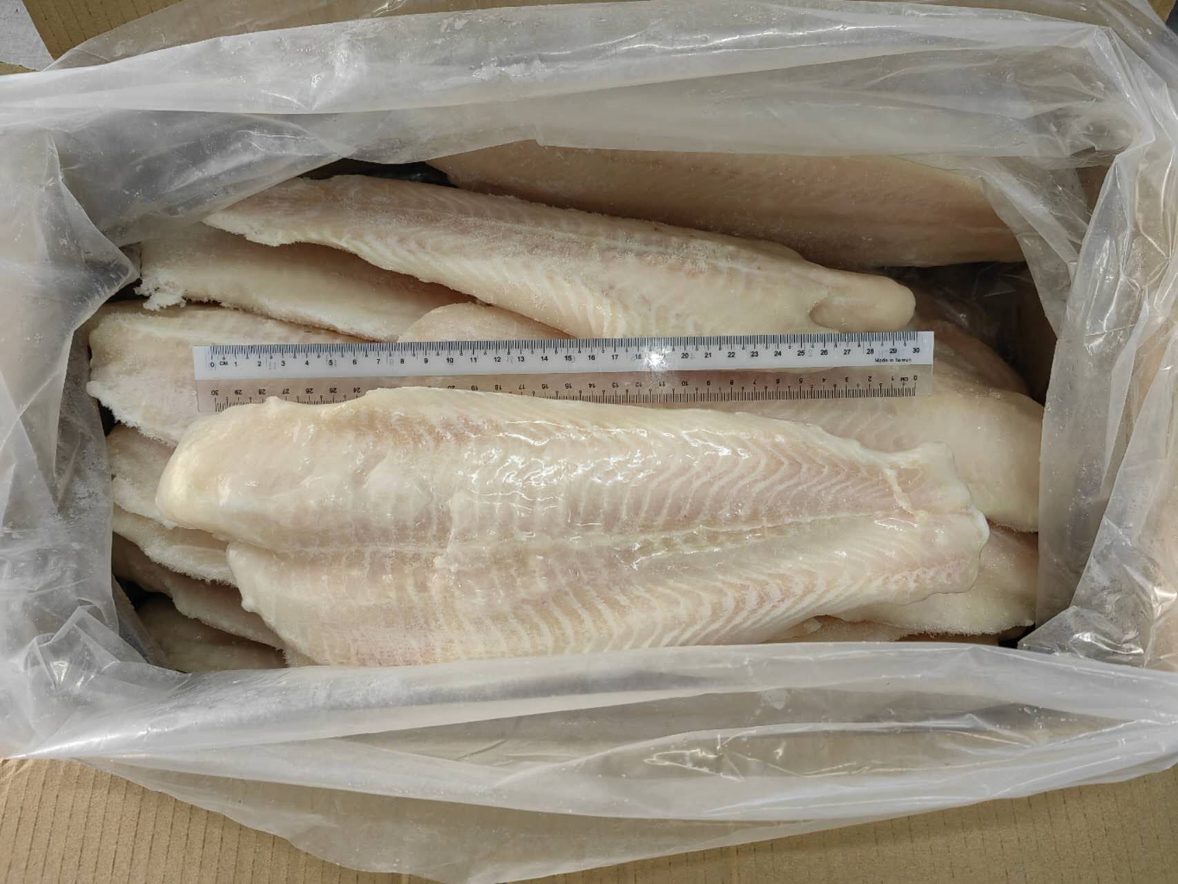 Frozen Fish Fillet
