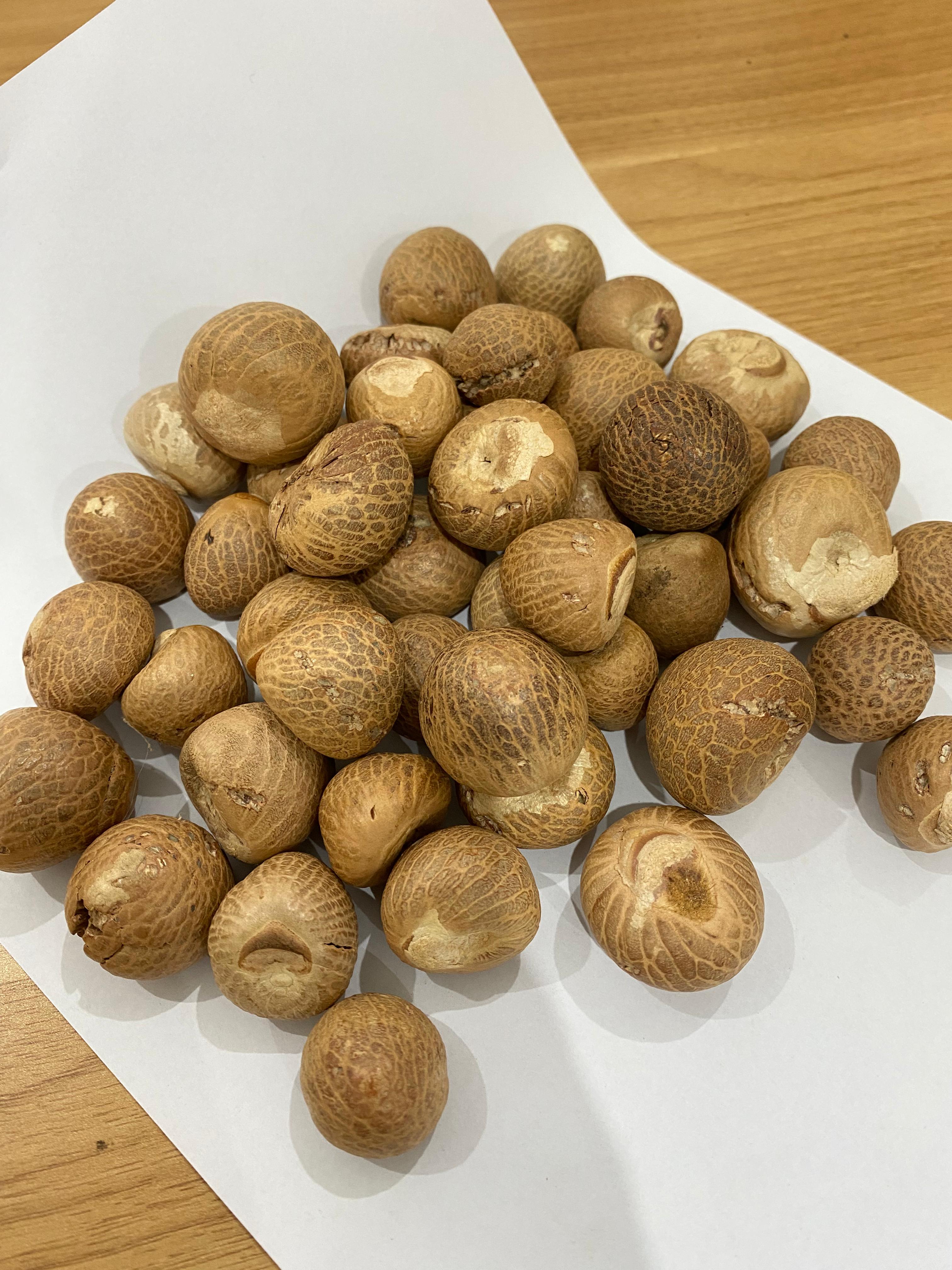 Nutmeg plantations